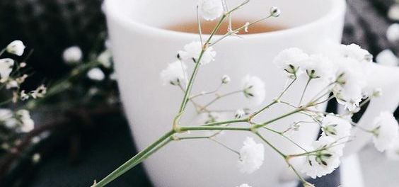 ad5d9b4767a3b79e8f8c24f396fd920e