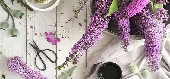 d50f6fd537172c8c0422e42645a6c5db